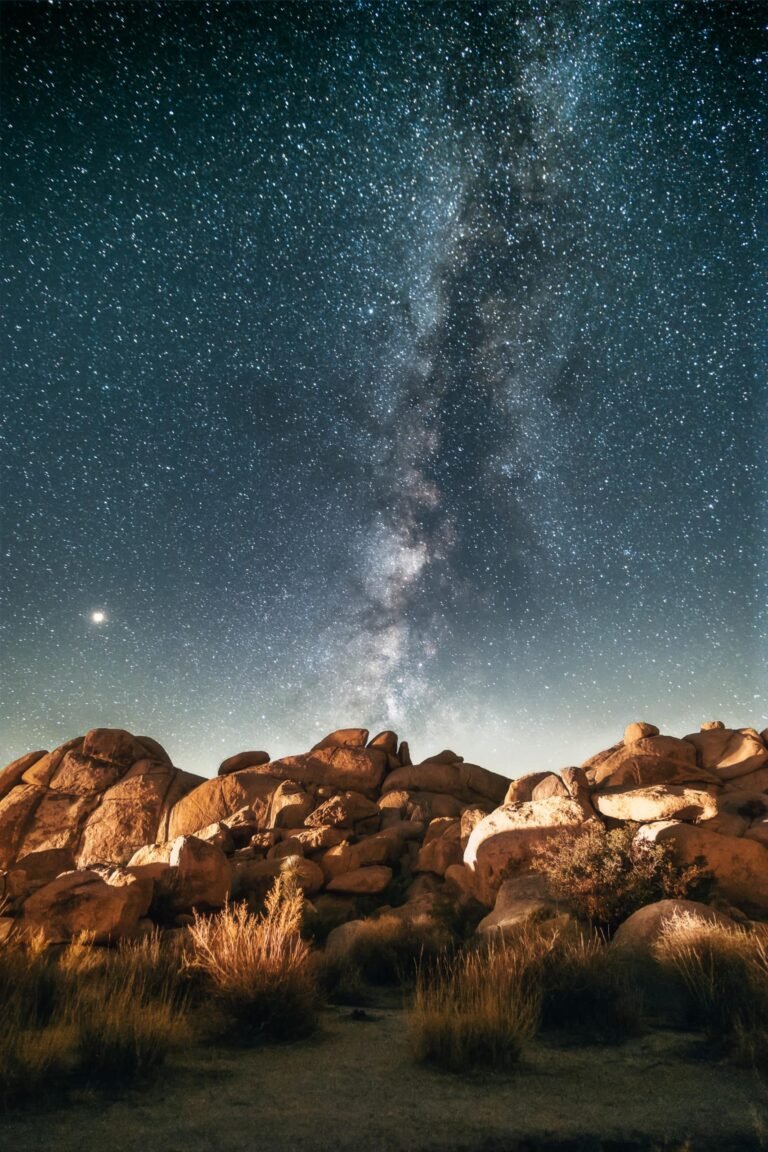 MilkyWay Joshua Tree Astrophotography Landscape