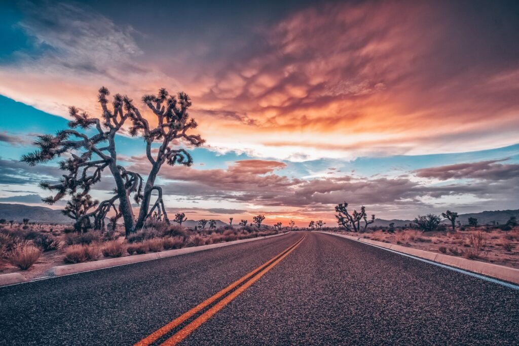 Joshua Tree Storm Sunset Landscape Joshua Tree Storm Sunset Landscape