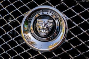 BW Jaguar Emblem Car Macro
