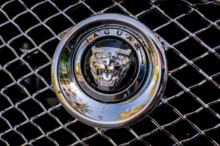 BW Jaguar Emblem Car Macro