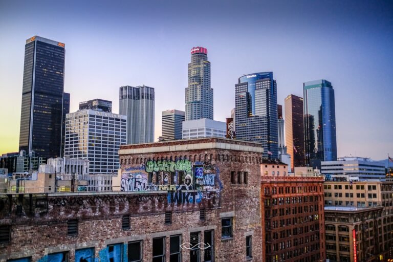 DTLA Landscape Cityscape Grafitti