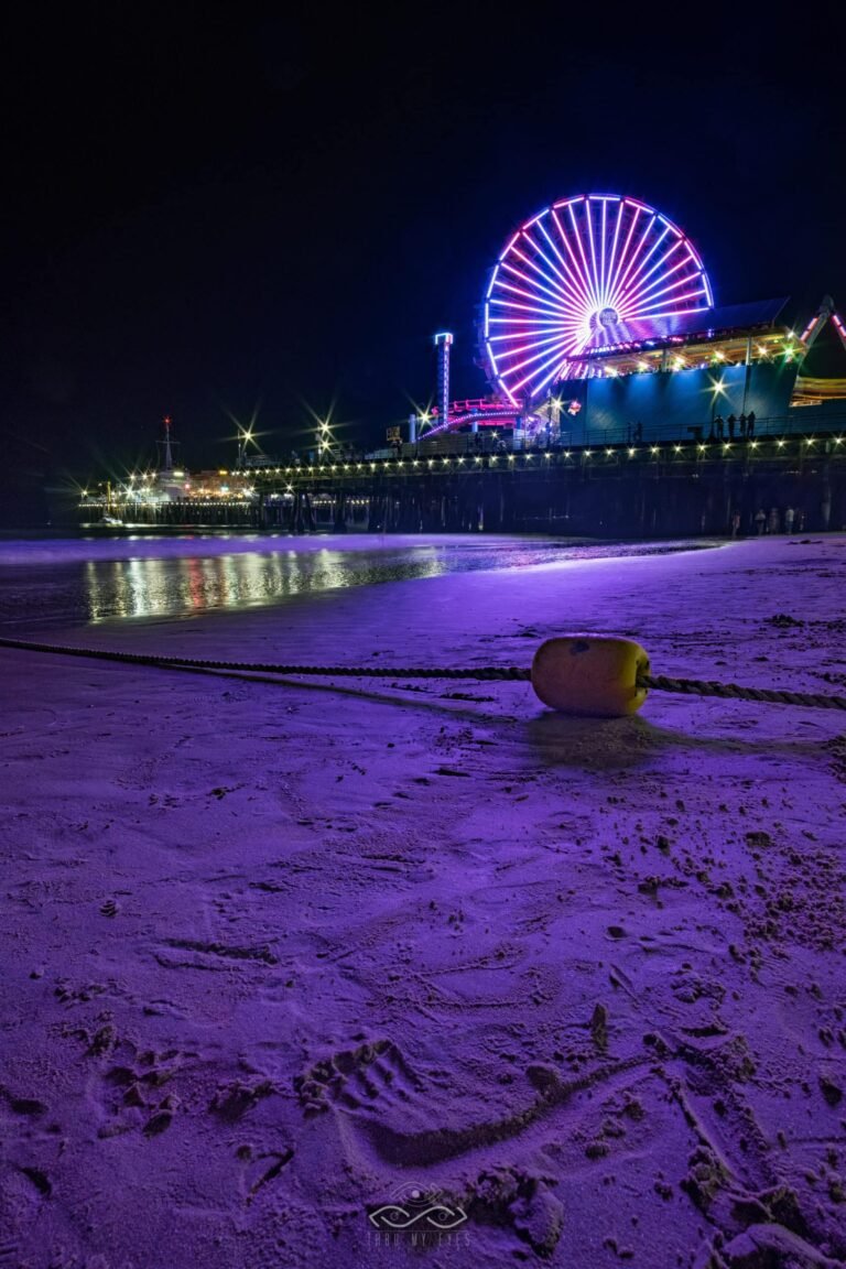 SantaMonica Pier Purple Sand Nightscape