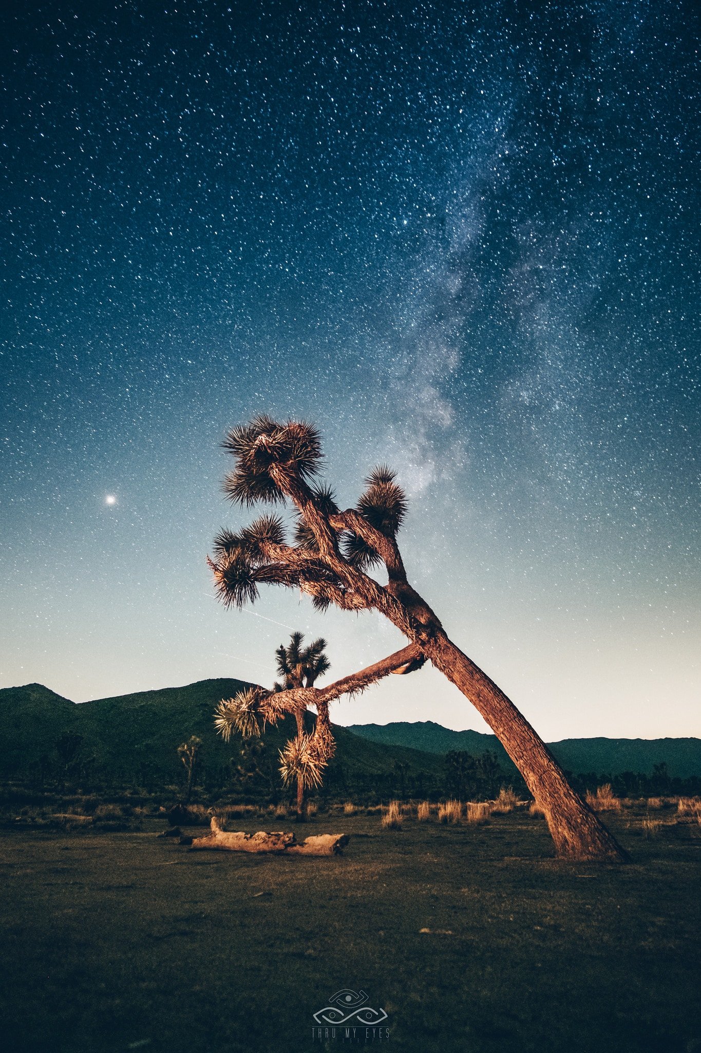 Joshua Tree Astrophotography MilkyWay Stars