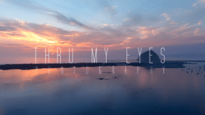 ThruMyEyes Drone Photography 1