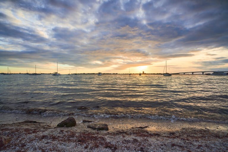 Sarasota Sunset Landscape