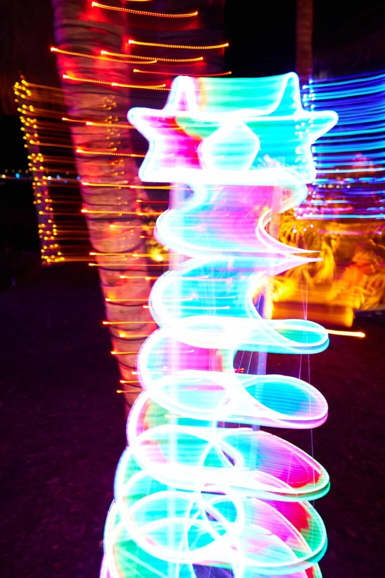 Magic At Selby Gardens Christmas Lights In Bloom Sarasota Florida