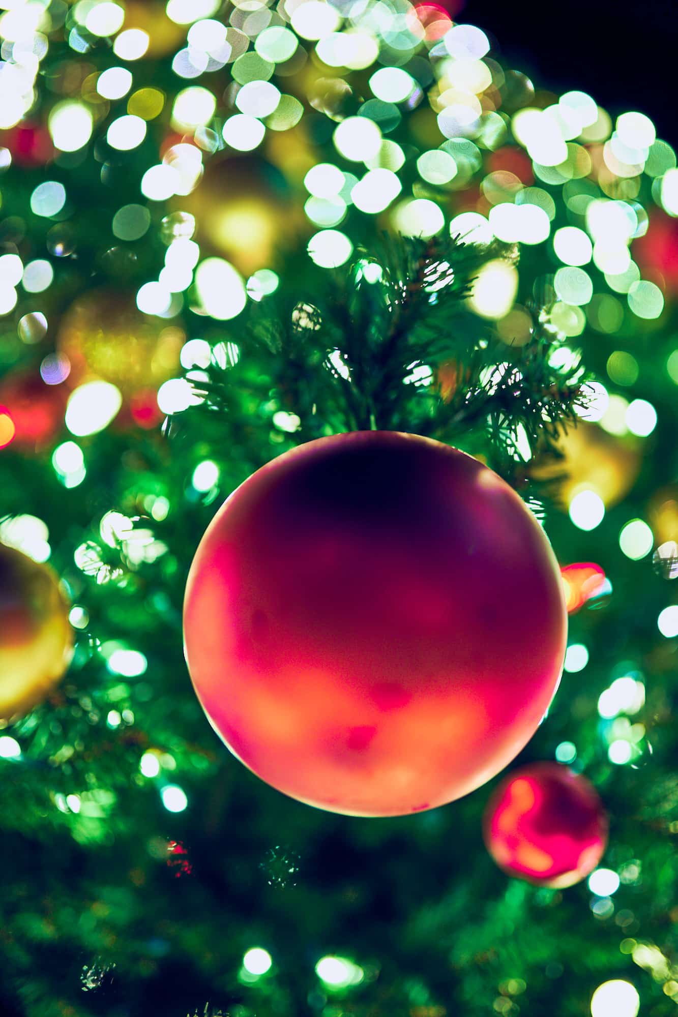 Wishing you a Merry “Saint Armands” Christmas Season from Thru My Eyes