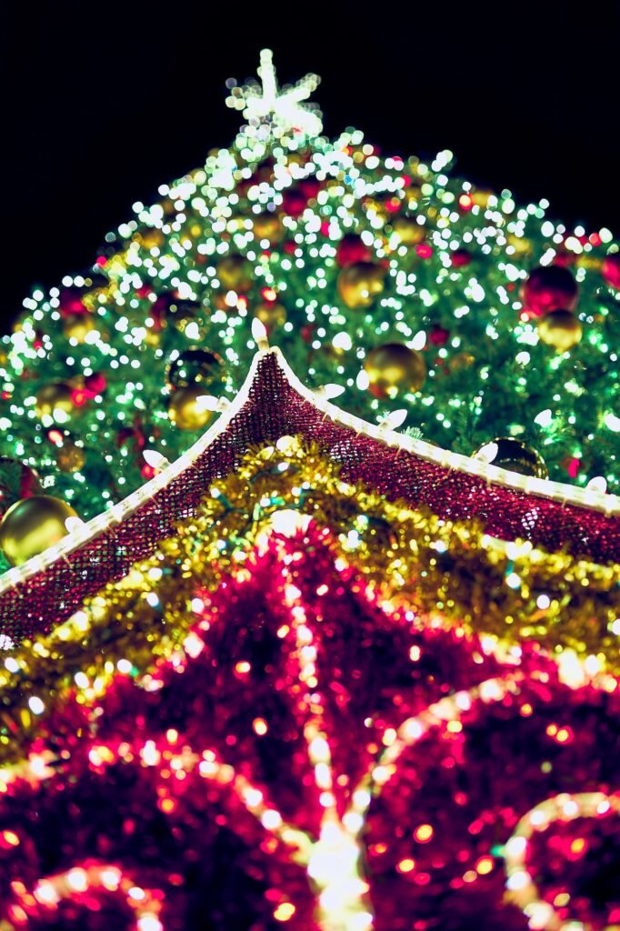 Saint Armands Christmas Tree Winter Wonderland Lights