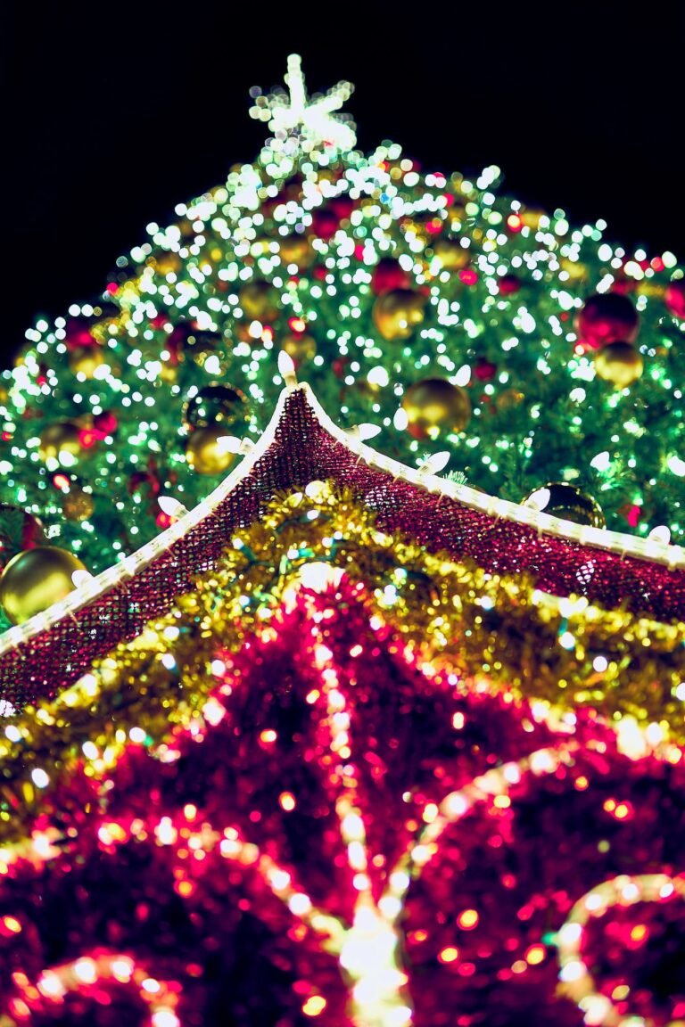 Saint Armands Christmas Tree Winter Wonderland Lights