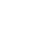 CustomCatios Logo