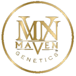 MavenGenetics Logo