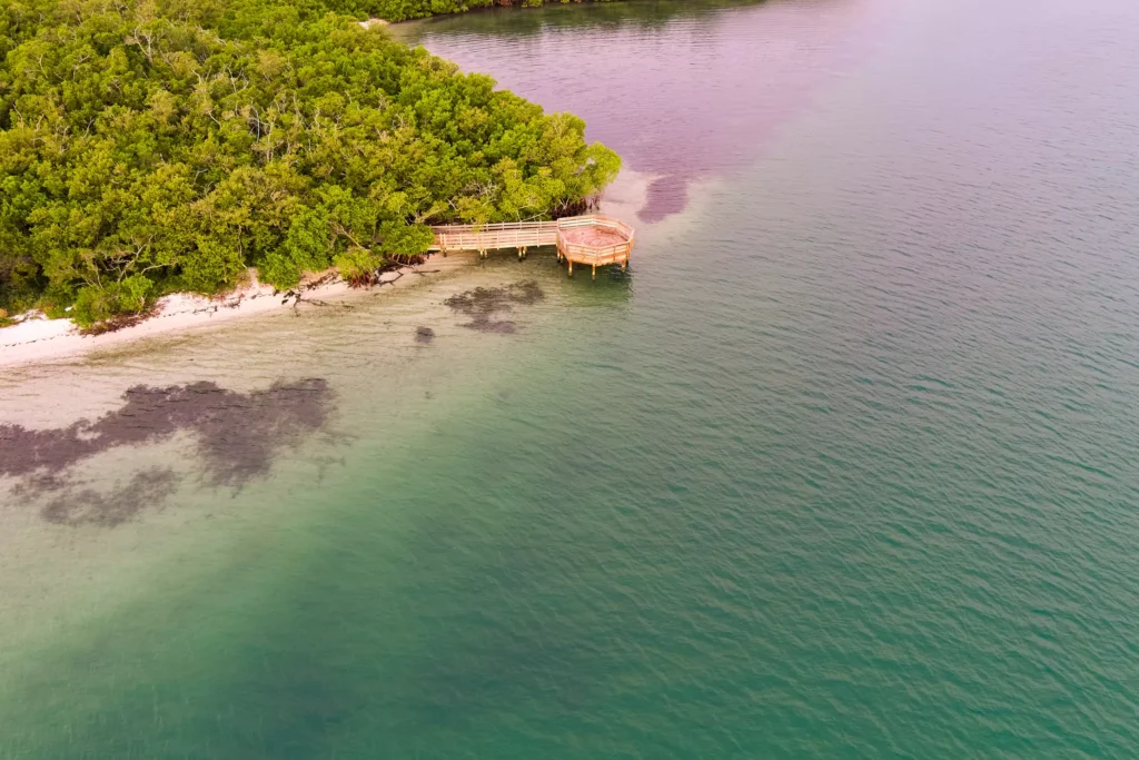 Drone Aerial Photography Sarasota Quick Point Florida and Nature Landscape