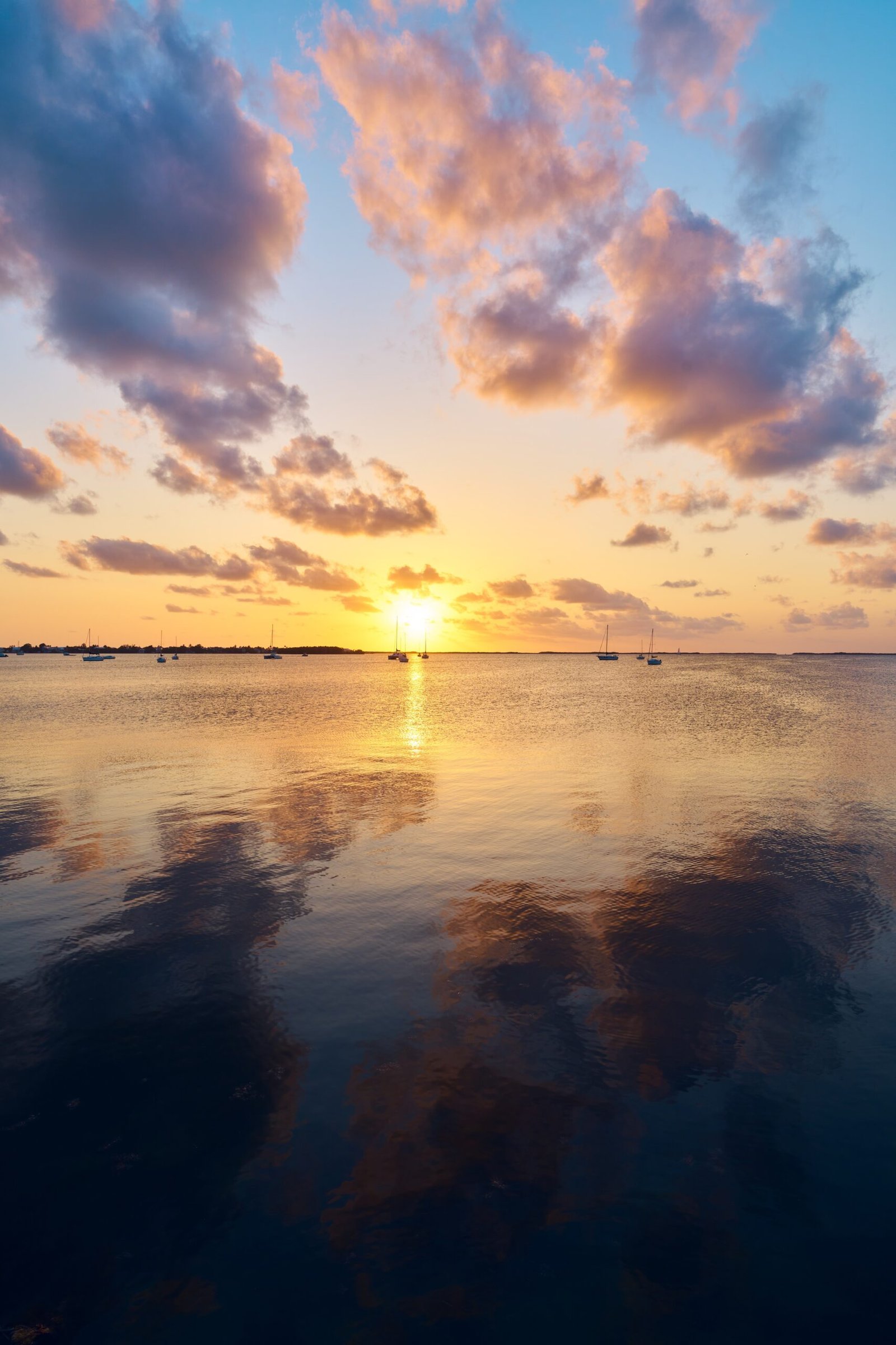 Sunset Beach View Sarasota Water Gulf Coast Landscape
