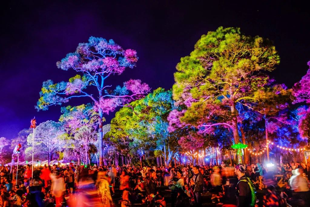Live outdoor music festival photograph with people surrounded by trees covered in colorful light at Okeechobee