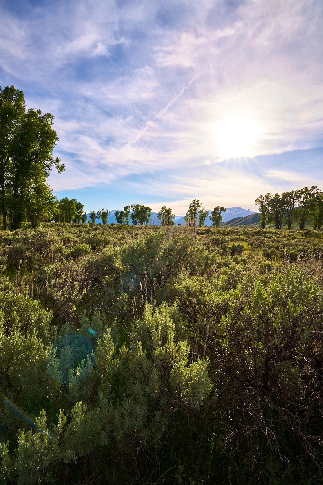 Sunset Landscape Nature Photography Grand Teton National Park