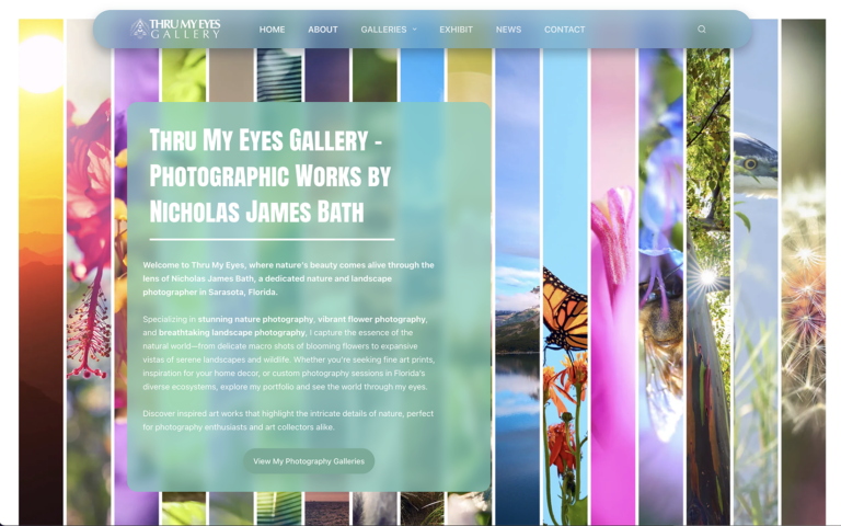 Thru My Eyes Gallery by Nicholas James Bath, Macro, Nature and Landscape Fine Art Photography