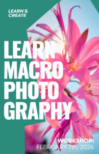 Thru My Eyes Fireside Chat & Macro Photography Workshop Flyer Herrig Center for the Arts Bradenton Florida February 2026