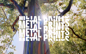 Thru My Eyes Photography Exhibition at Herrig Center for the Arts in Bradenton - One Week Left