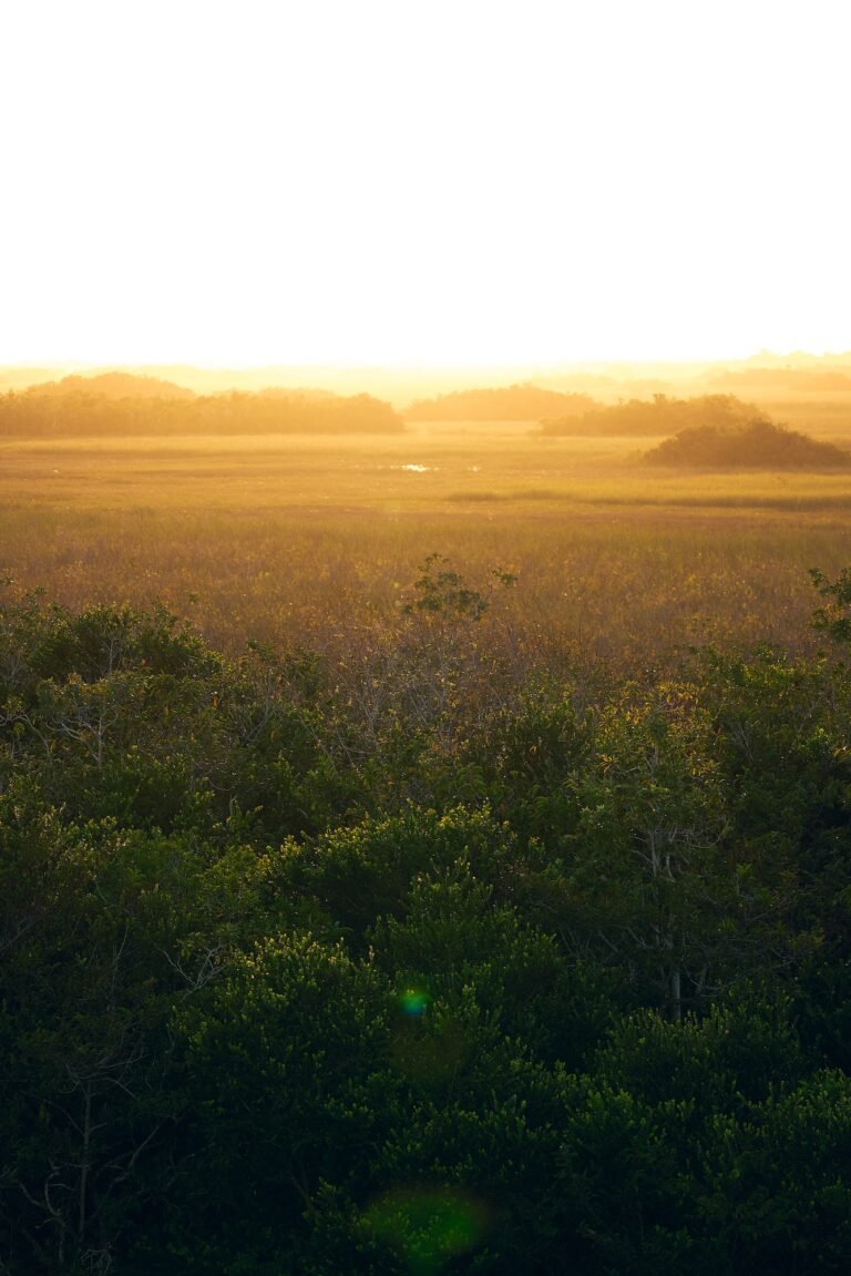 Nature Landscape Photography Everglades National Park Sunset