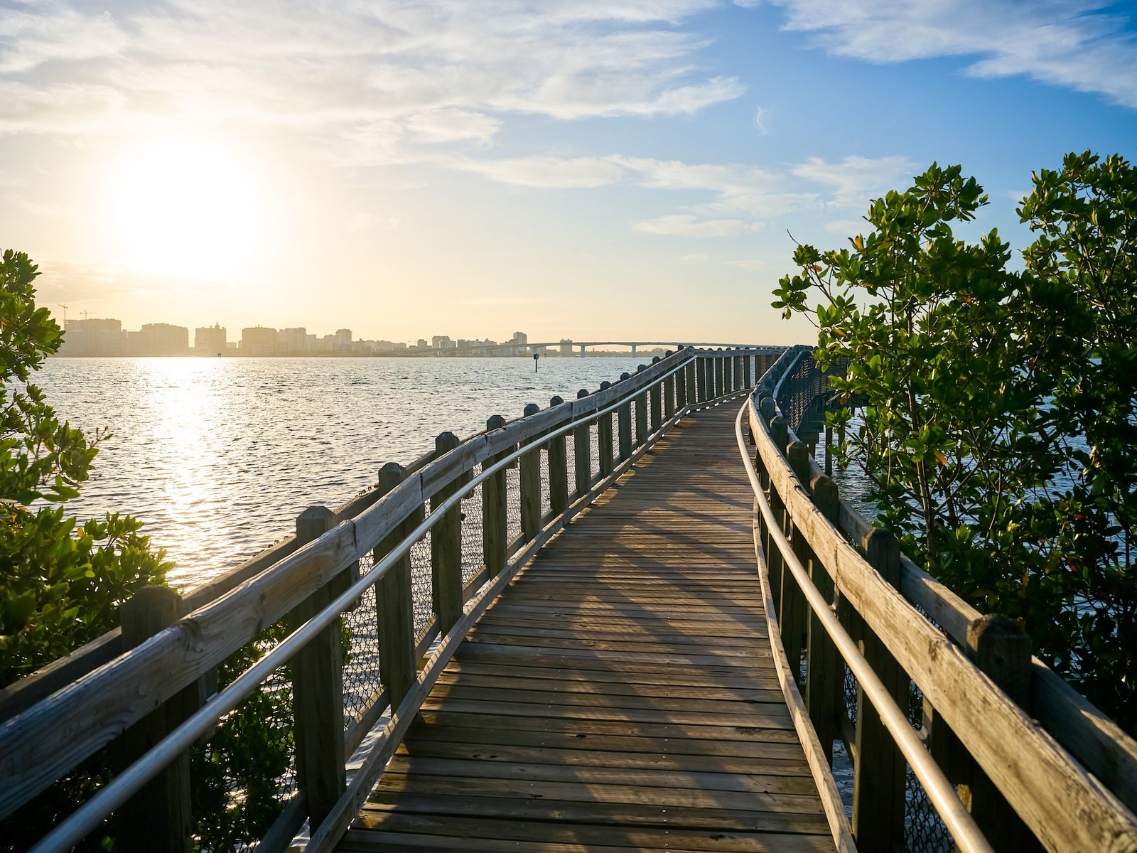 Baywalk City Island Nature Photography Sarasota Florida